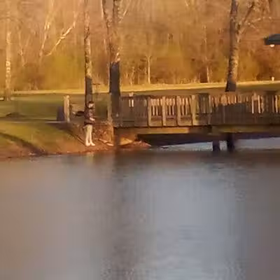 Archey Fork Park - Clinton, AR