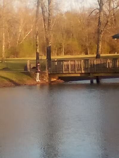 Archey Fork Park - Clinton, AR