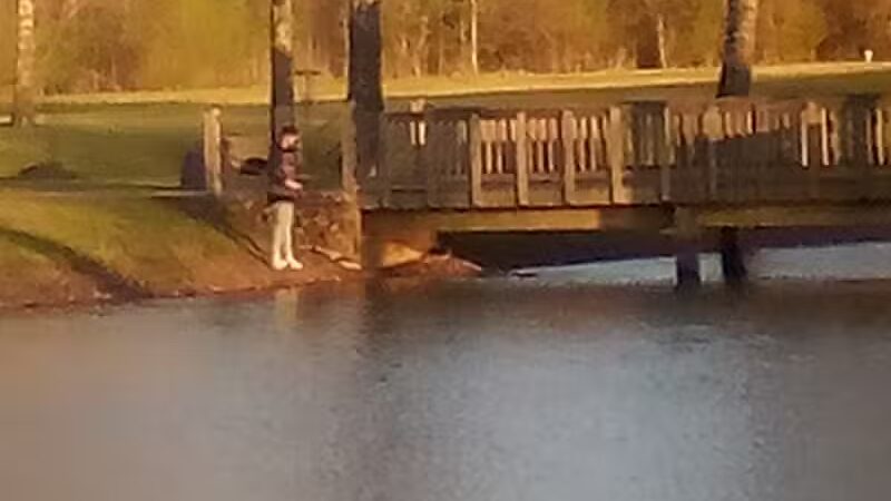 Archey Fork Park - Clinton, AR