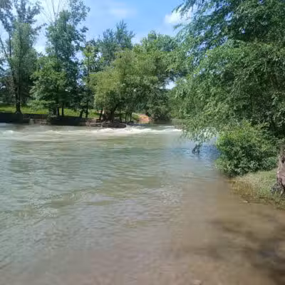Archey Fork Park - Clinton, AR