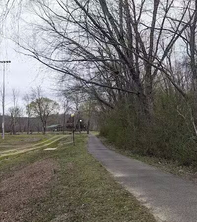 Archey Fork Park - Clinton, AR