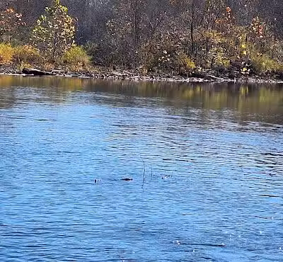 Archey Fork Park - Clinton, AR