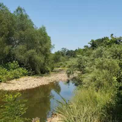 Archey Fork Park - Clinton, AR