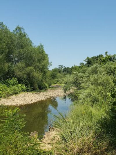 Archey Fork Park - Clinton, AR
