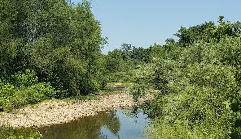 Archey Fork Park - Clinton, AR