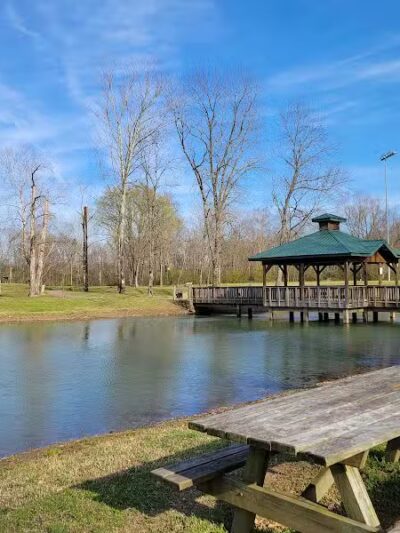 Archey Fork Park - Clinton, AR