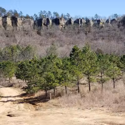 Bluffton Preserve on the Archey Fork - Clinton, AR