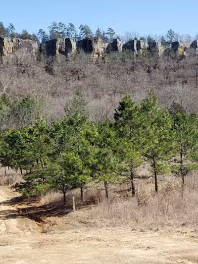 Bluffton Preserve on the Archey Fork - Clinton, AR