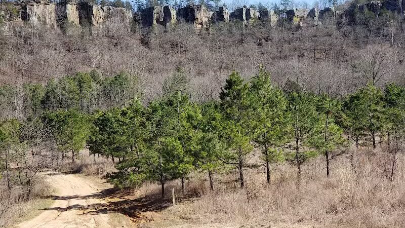 Bluffton Preserve on the Archey Fork - Clinton, AR