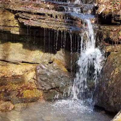 Bluffton Preserve on the Archey Fork - Clinton, AR