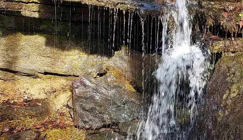 Bluffton Preserve on the Archey Fork - Clinton, AR
