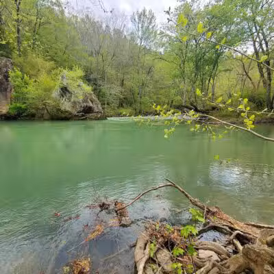 Bluffton Preserve on the Archey Fork - Clinton, AR