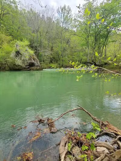 Bluffton Preserve on the Archey Fork - Clinton, AR