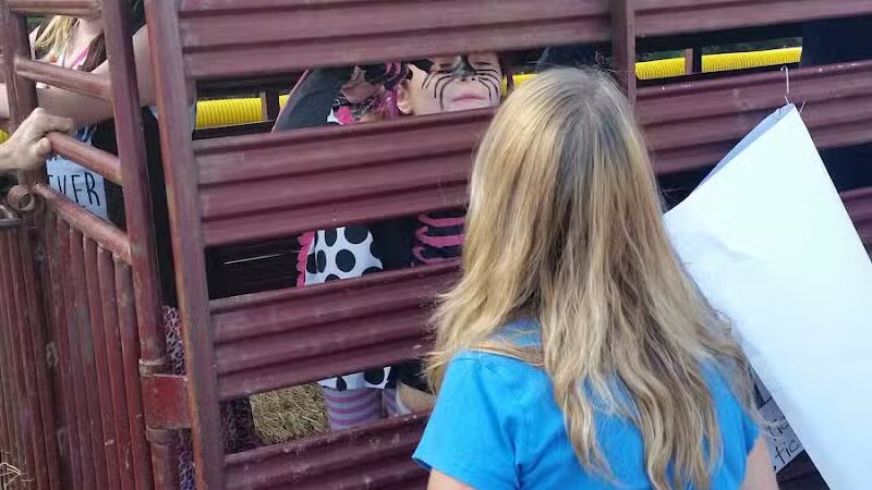 Clinton City Park - Clinton, AR