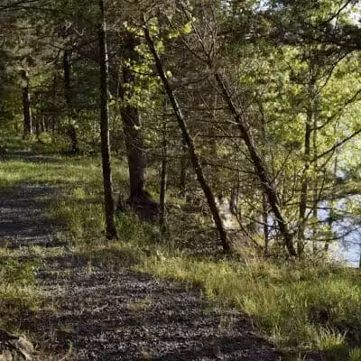 South Fork Nature Center - Clinton, AR