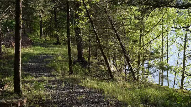 South Fork Nature Center - Clinton, AR