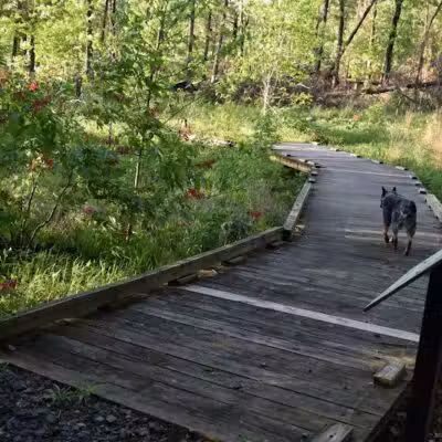South Fork Nature Center - Clinton, AR