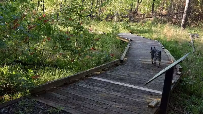 South Fork Nature Center - Clinton, AR