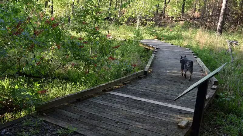 South Fork Nature Center - Clinton, AR