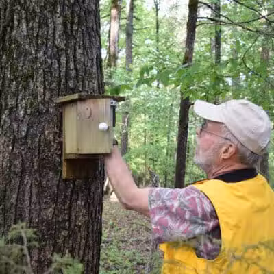 South Fork Nature Center - Clinton, AR