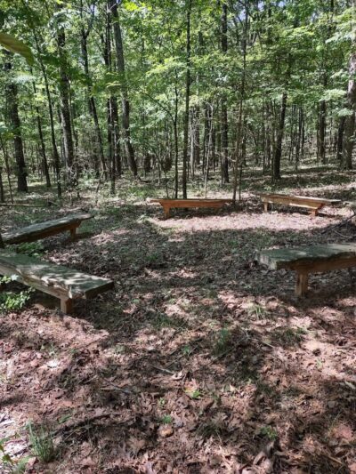 South Fork Nature Center Trail - Clinton, AR