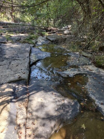 South Fork Nature Center Trail - Clinton, AR