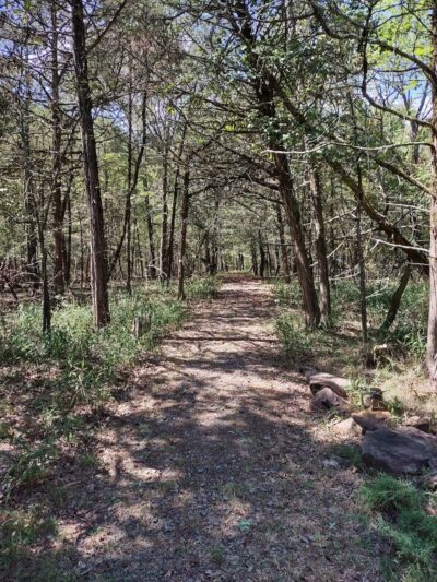 South Fork Nature Center Trail - Clinton, AR
