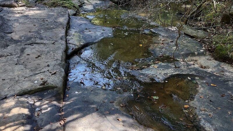 South Fork Nature Center Trail - Clinton, AR