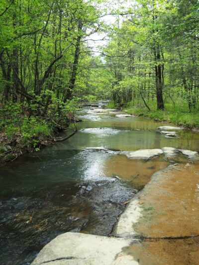 South Fork Nature Center Trail - Clinton, AR