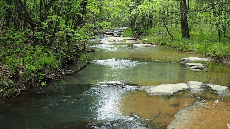 South Fork Nature Center Trail - Clinton, AR