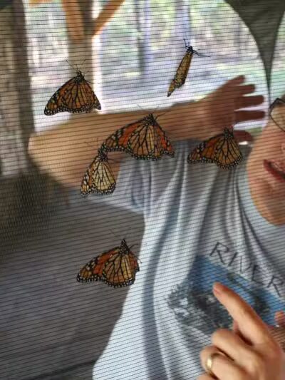 South Fork Nature Center - Clinton, AR