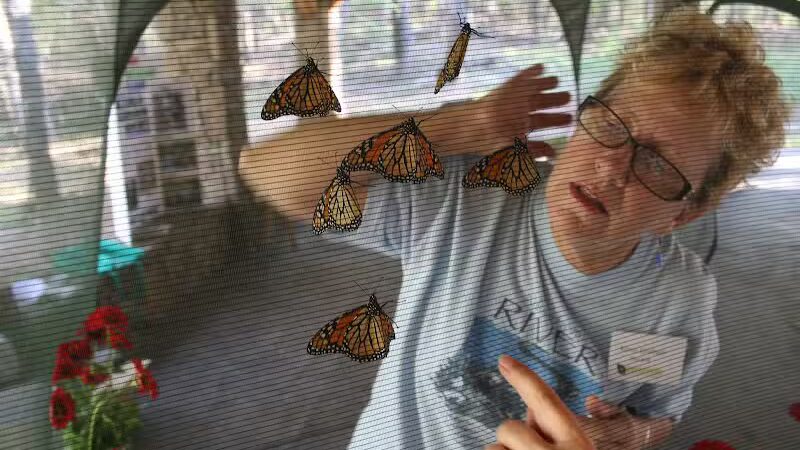 South Fork Nature Center - Clinton, AR