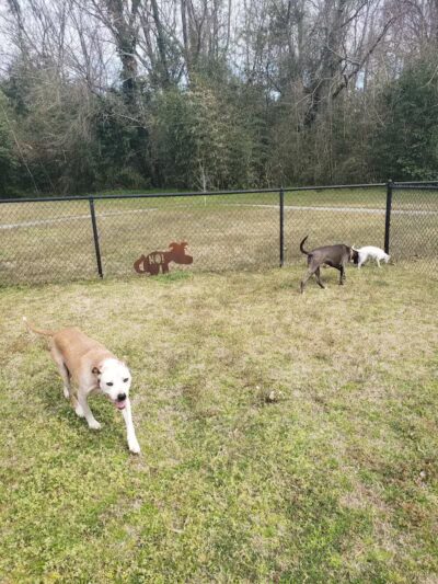 Fisher Drive Park - Clinton, NC