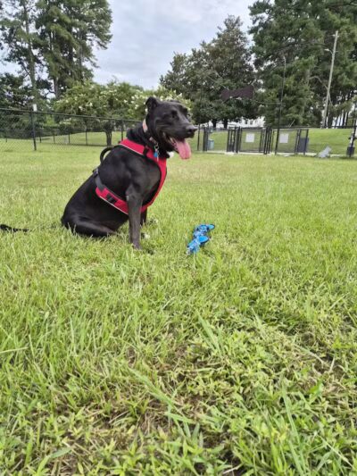 Fisher Drive Park - Clinton, NC