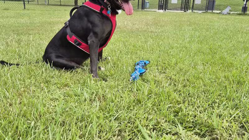 Fisher Drive Park - Clinton, NC