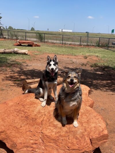 Phillips 66 Dog Park - Clinton, OK