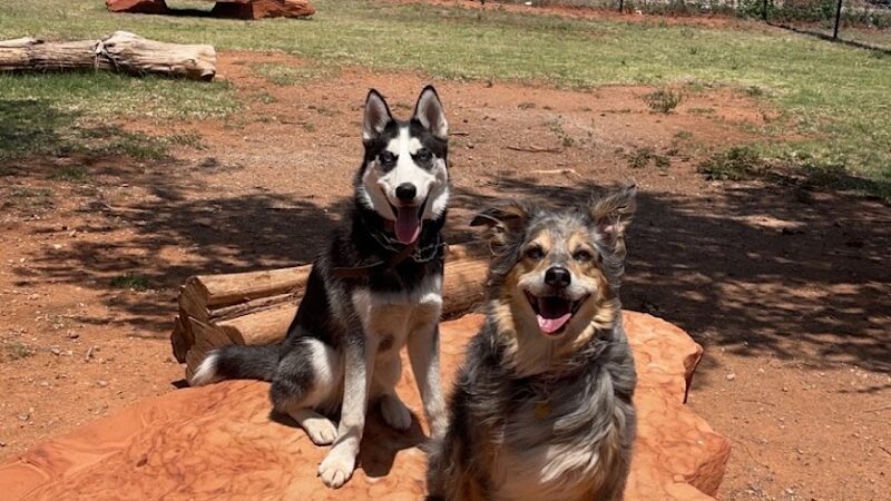 Phillips 66 Dog Park - Clinton, OK