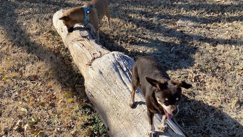 Phillips 66 Dog Park - Clinton, OK