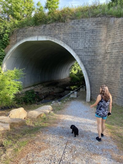 Millers Fork trail - Clinton, SC