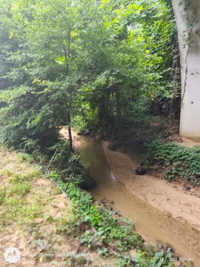 Millers Fork trail - Clinton, SC