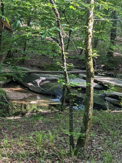 Millers Fork trail - Clinton, SC