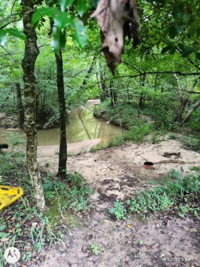 Millers Fork trail - Clinton, SC