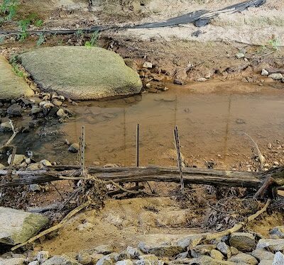 Millers Fork trail - Clinton, SC