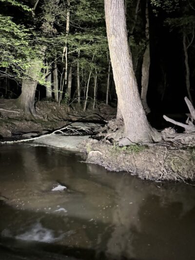 Millers Fork trail - Clinton, SC