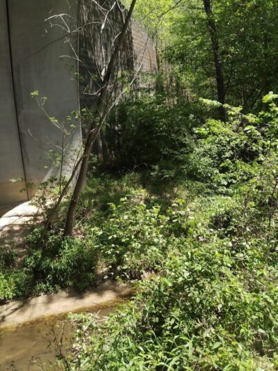 Millers Fork trail - Clinton, SC