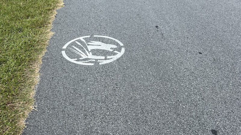 Swamp Rabbit Trail in Laurens County - Clinton, SC