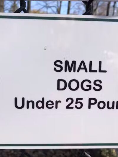 Bark Park - Clintonville, WI