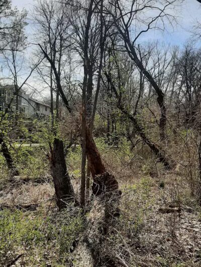 Greenbelt Trail - Clive, IA