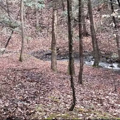 Ski Lodge Pond - Cobleskill, NY