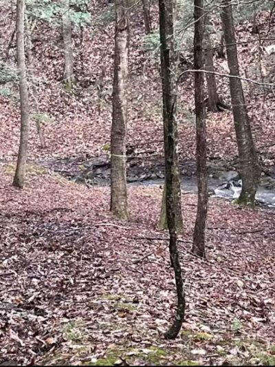 Ski Lodge Pond - Cobleskill, NY